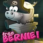 Free Bernie Pirates